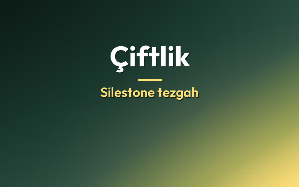 Çiftlik Silestone tezgah