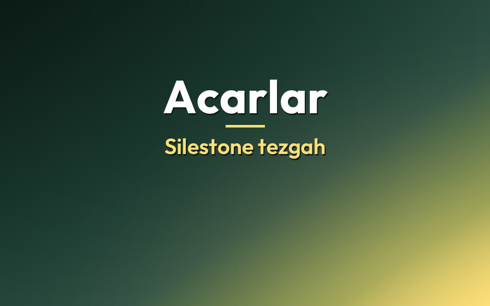 Acarlar Silestone tezgah