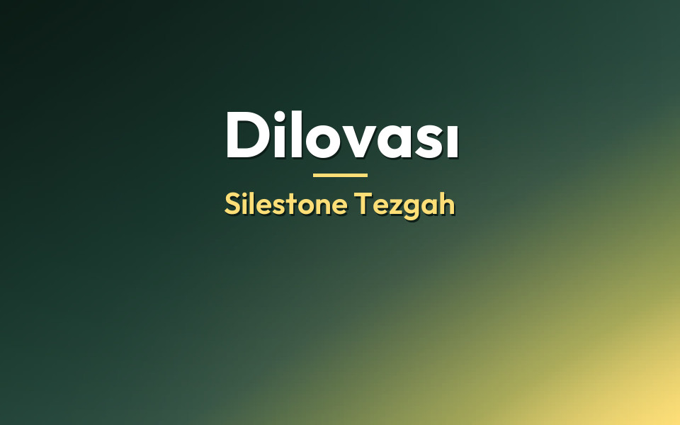 Dilovası Silestone Tezgah