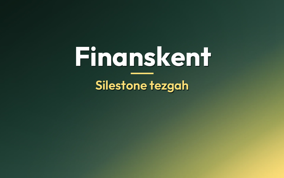 Finanskent Silestone tezgah