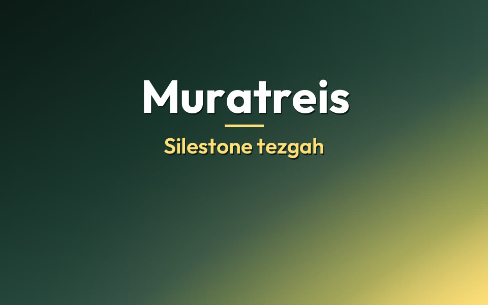 Muratreis Silestone tezgah