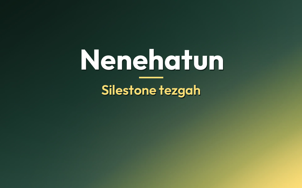 Nenehatun Silestone tezgah