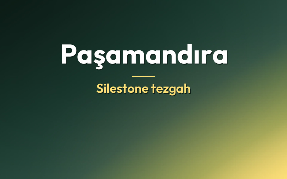 Paşamandıra Silestone tezgah