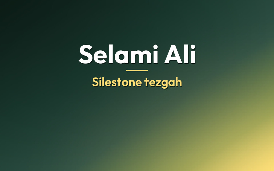 Selami Ali Silestone tezgah