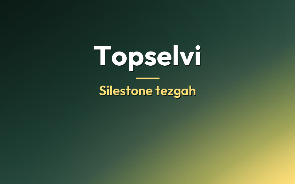 Topselvi Silestone tezgah